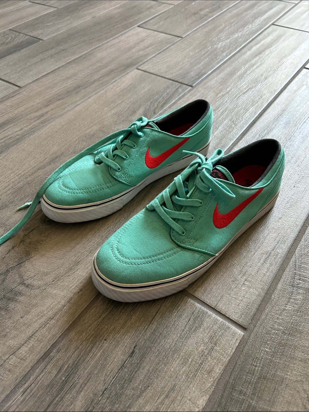 Nike Men’s Mint Green Canvas Sneakers with Red Swoosh